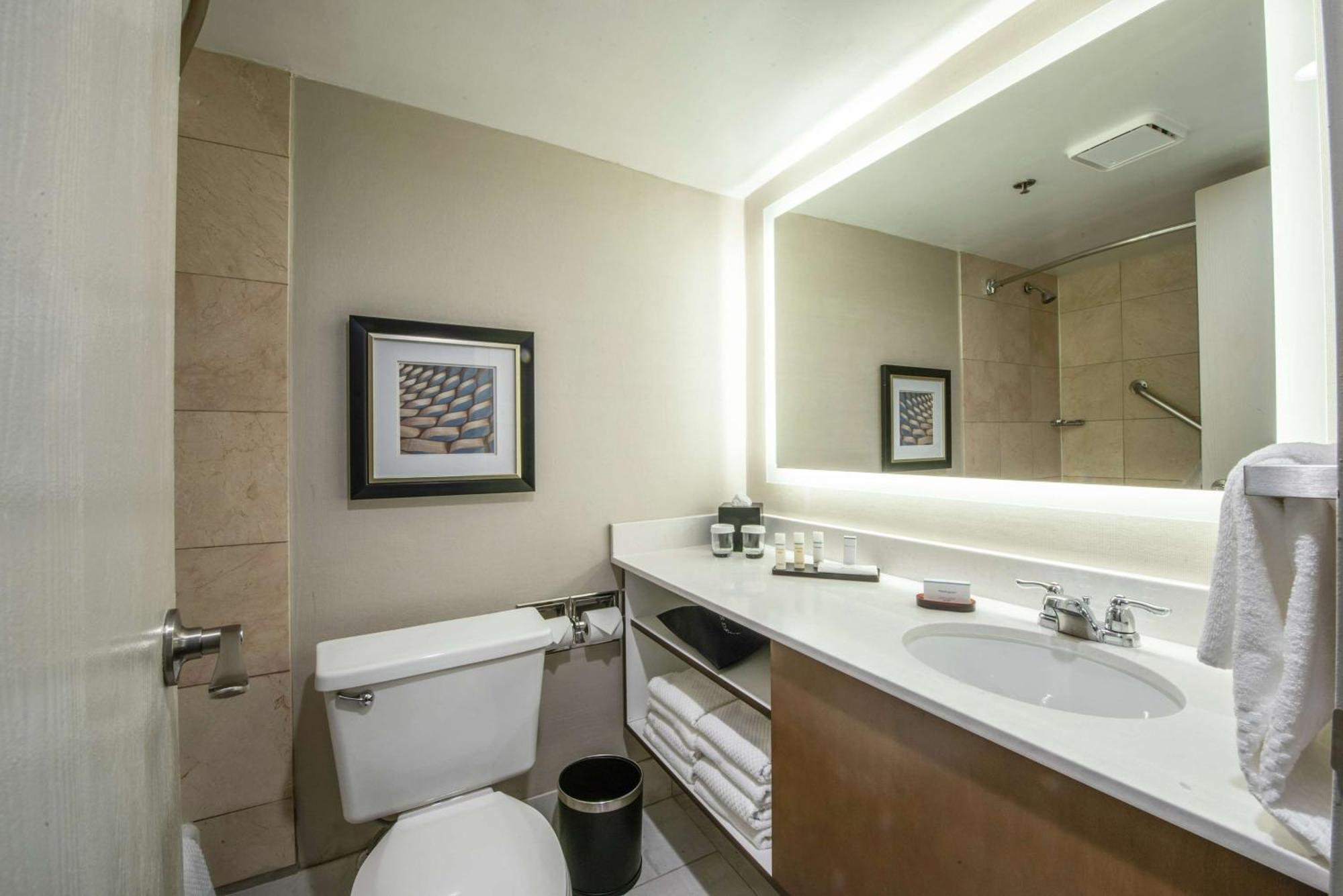 Embassy Suites By Hilton Chicago Schaumburg Woodfield Kültér fotó
